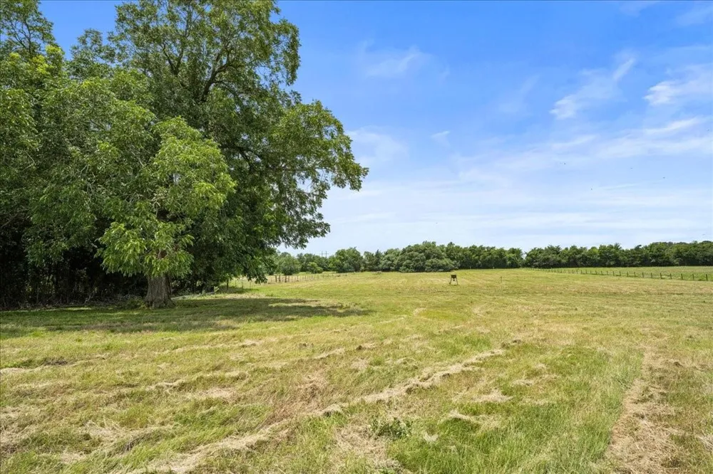 8233 Quebe Road Brenham, TX 77833