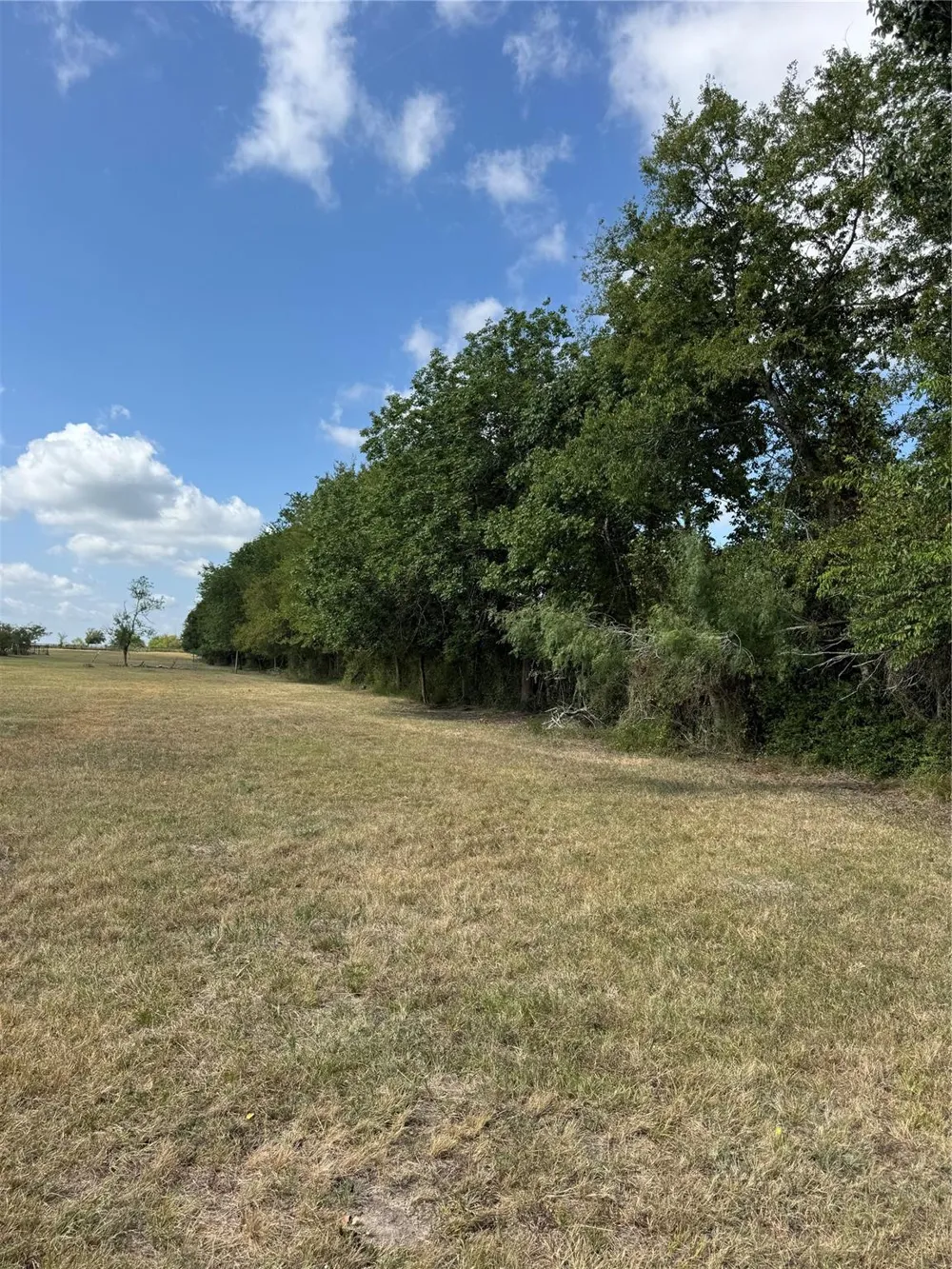 1 Fm 3060 Midway, TX 75852