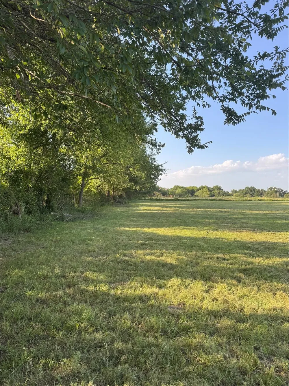 1 Fm 3060 Midway, TX 75852