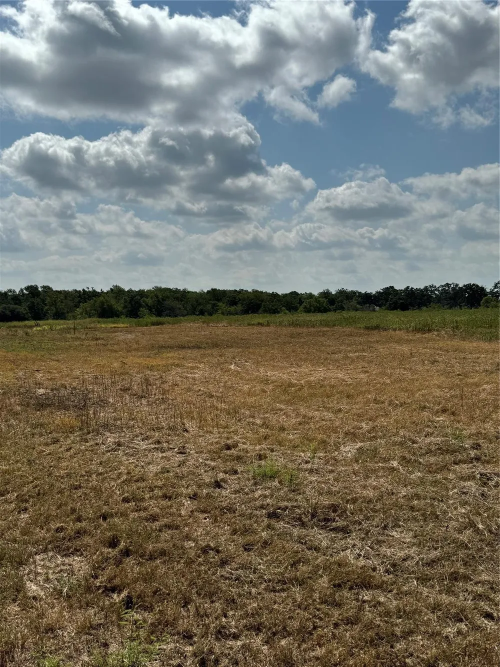 1 Fm 3060 Midway, TX 75852