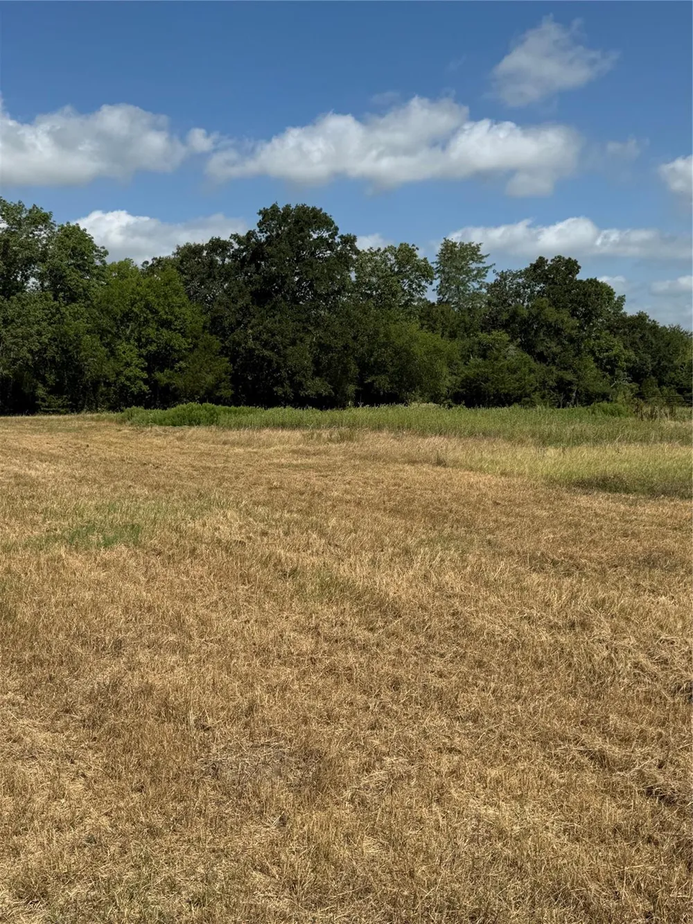 1 Fm 3060 Midway, TX 75852
