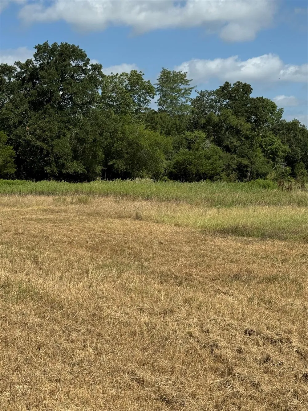 1 Fm 3060 Midway, TX 75852