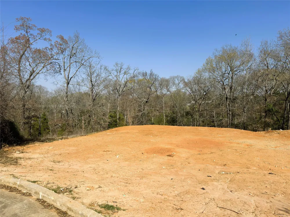 110 Elmwood Ct Palestine, TX 75801