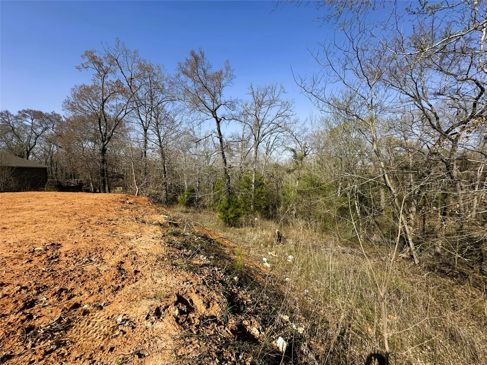 110 Elmwood Ct Palestine, TX 75801