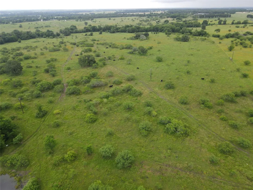 5784 County Road 123 Iola, TX 77861
