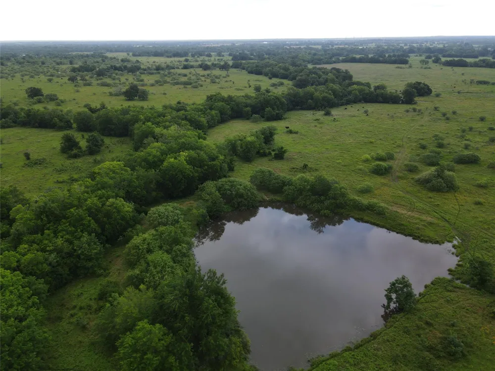 5784 County Road 123 Iola, TX 77861