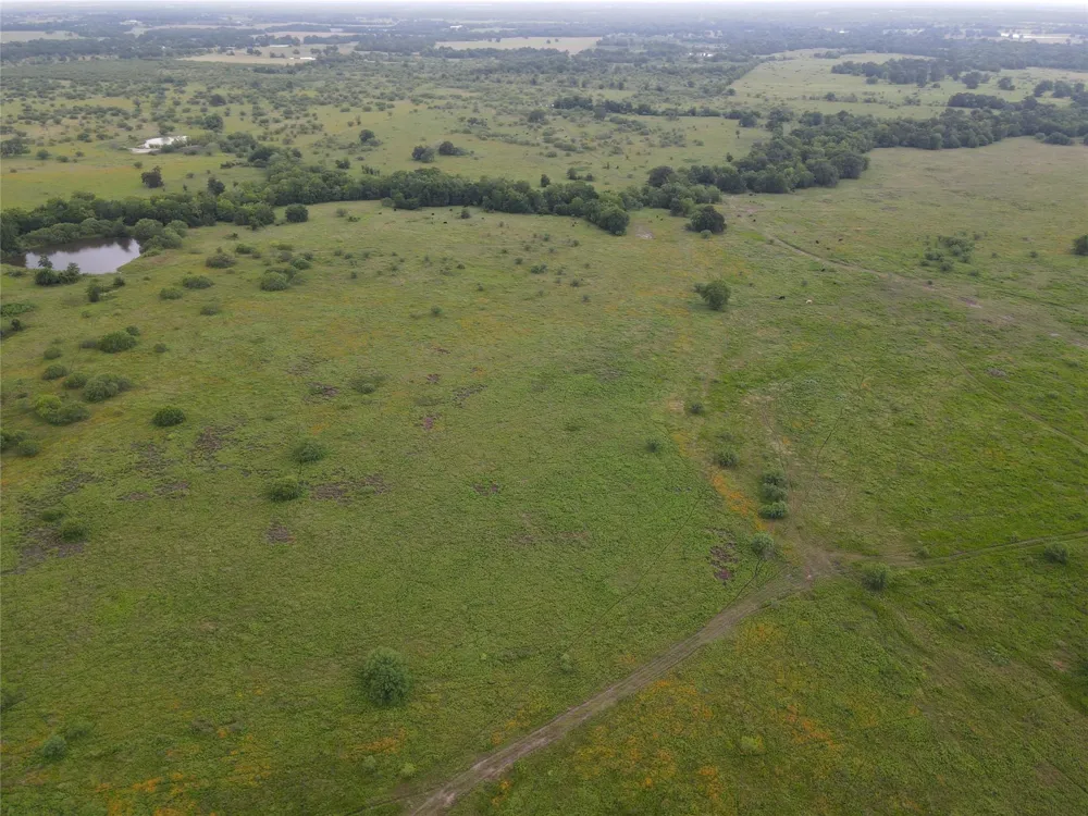 5784 County Road 123 Iola, TX 77861