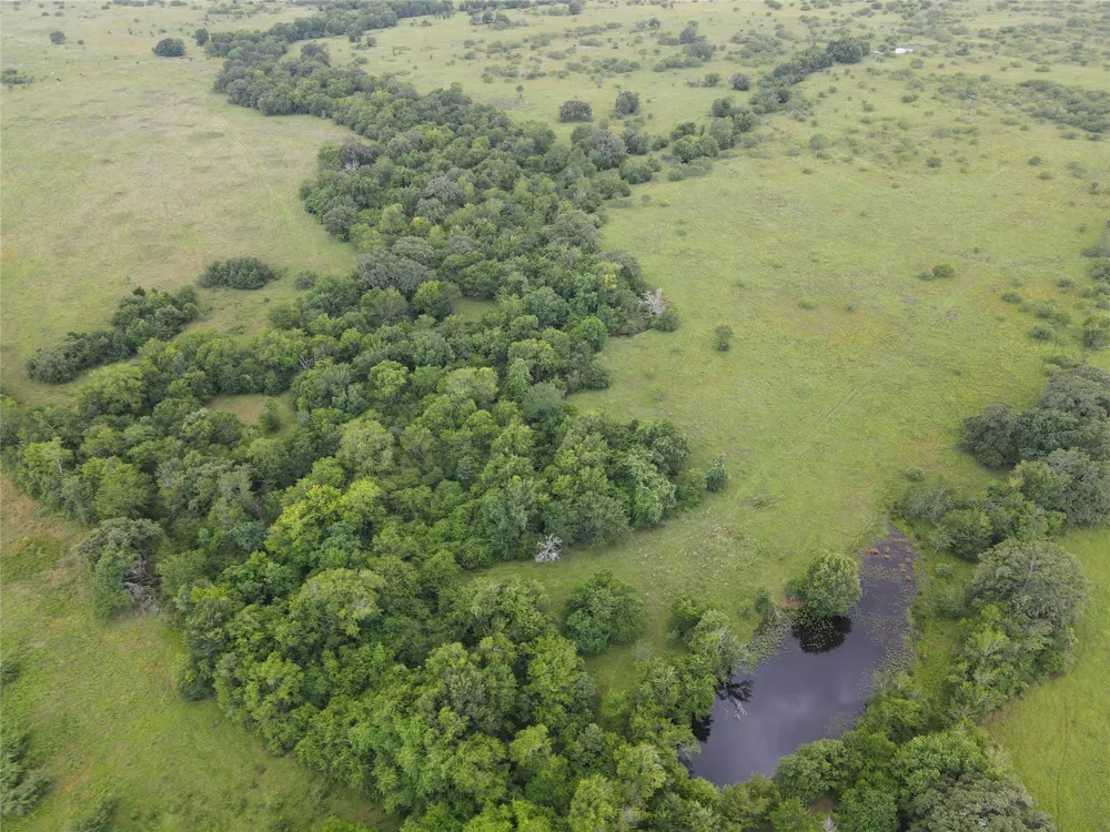 5784 County Road 123 Iola, TX 77861