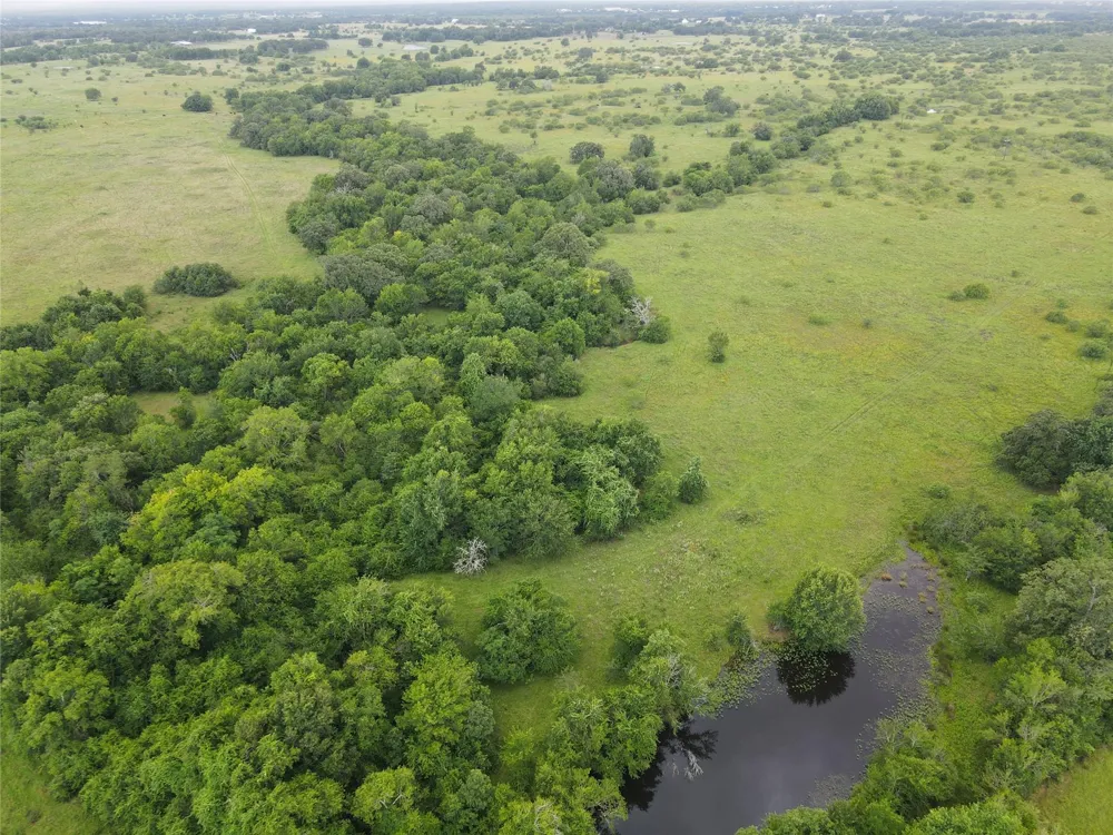 5784 County Road 123 Iola, TX 77861