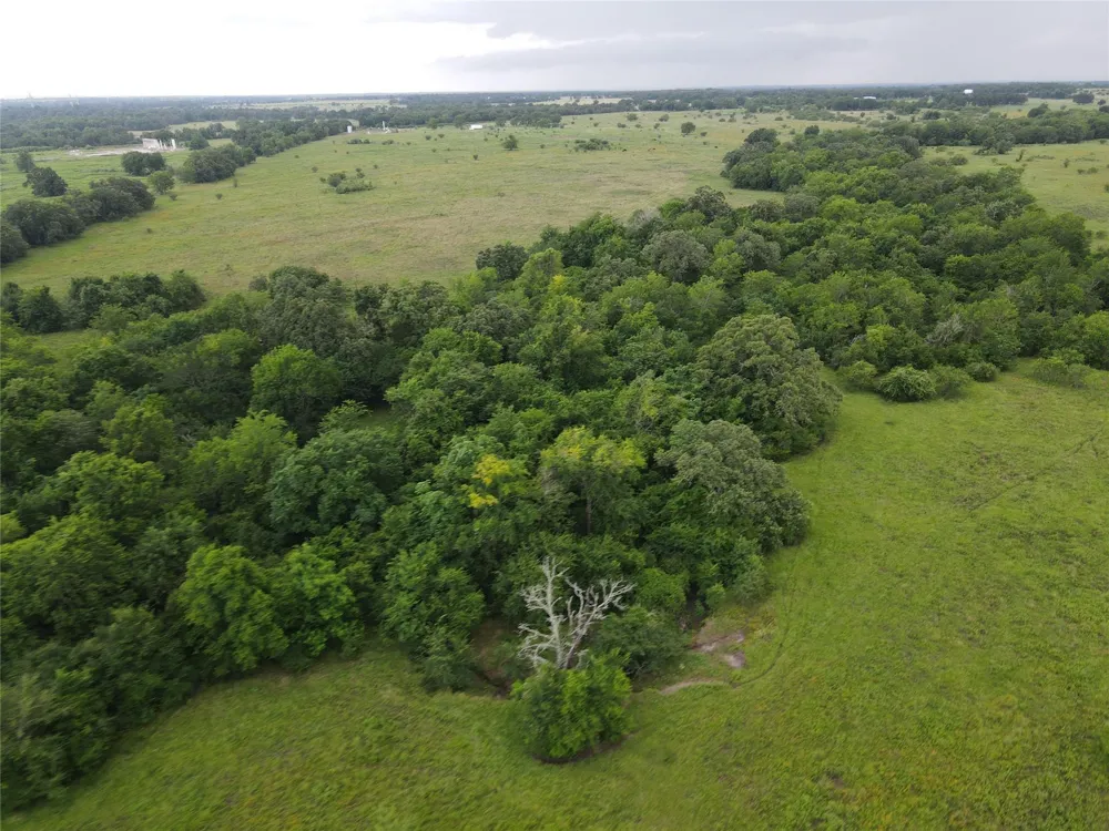 5784 County Road 123 Iola, TX 77861