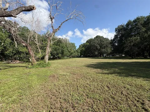 4407 Hiram Brandon Drive