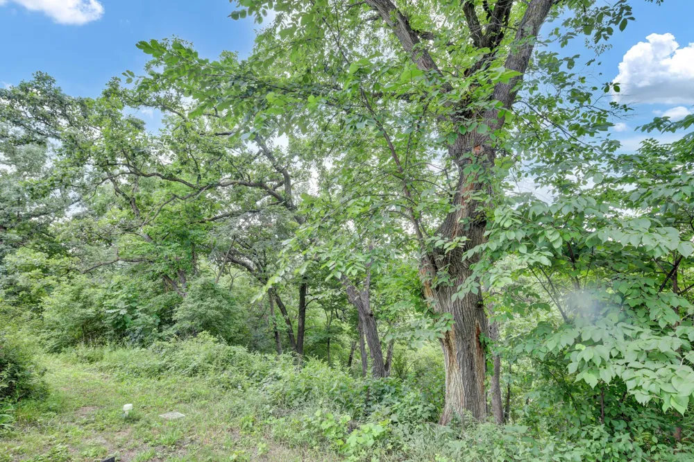 692 School Drive Zumbro Falls, MN 55991