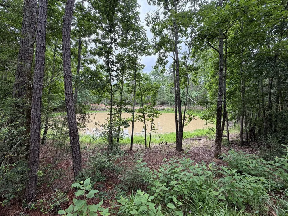 Hill Rd Lot 5 Willis, TX 77378