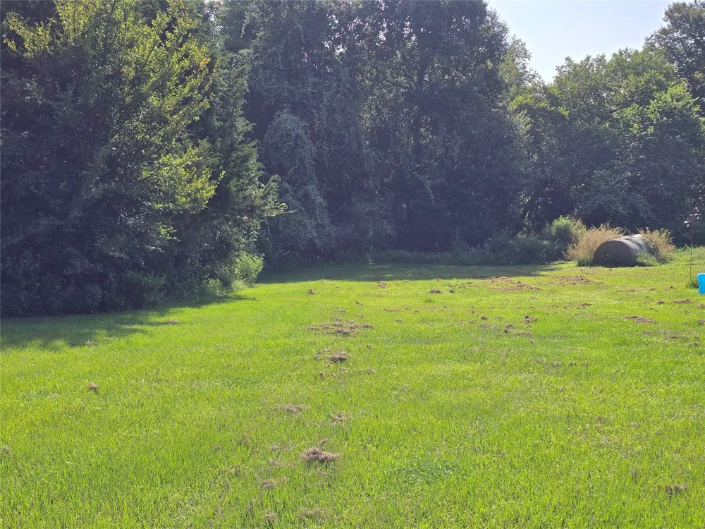 570 An County Road 2419 Montalba, TX 75853