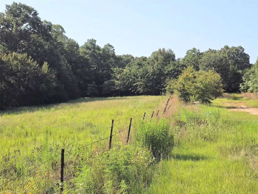 570 An County Road 2419 Montalba, TX 75853