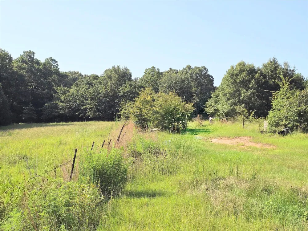 570 An County Road 2419 Montalba, TX 75853