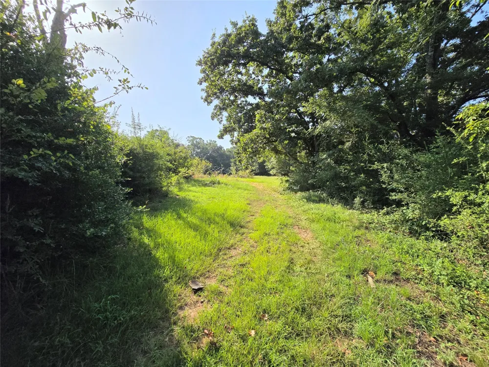 570 An County Road 2419 Montalba, TX 75853