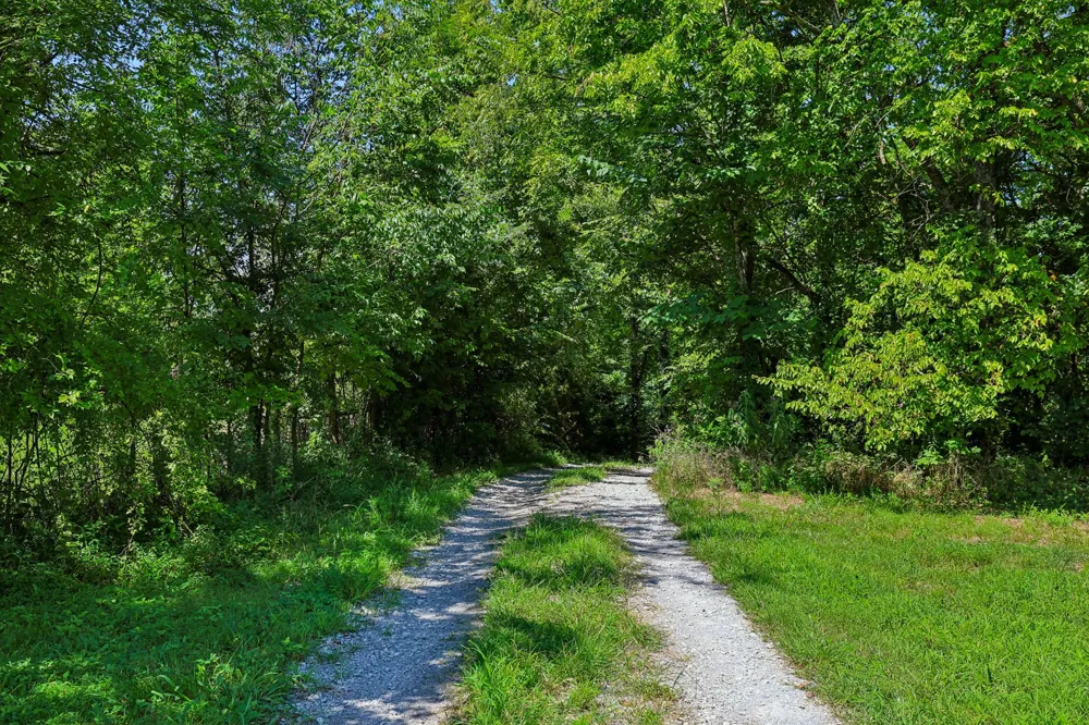 2351 Linwood Rd Watertown, TN 37184