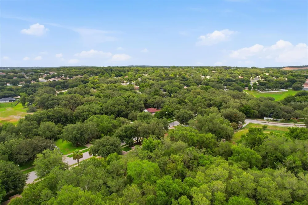 1313 OAK VALLEY BOULEVARD Minneola, FL 34715
