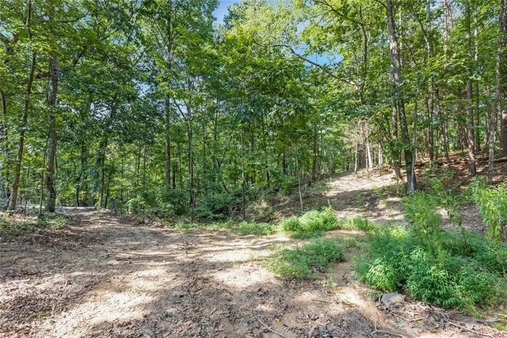 5466 Whitehall Road Lula, GA 30554