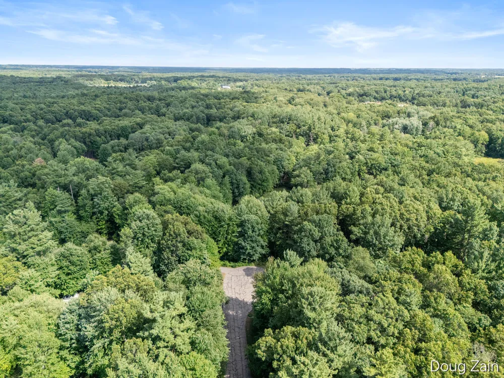 11890 Sandy Oak Court NE Cedar Springs, MI 49319