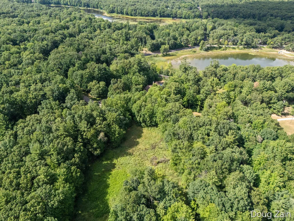 11890 Sandy Oak Court NE Cedar Springs, MI 49319