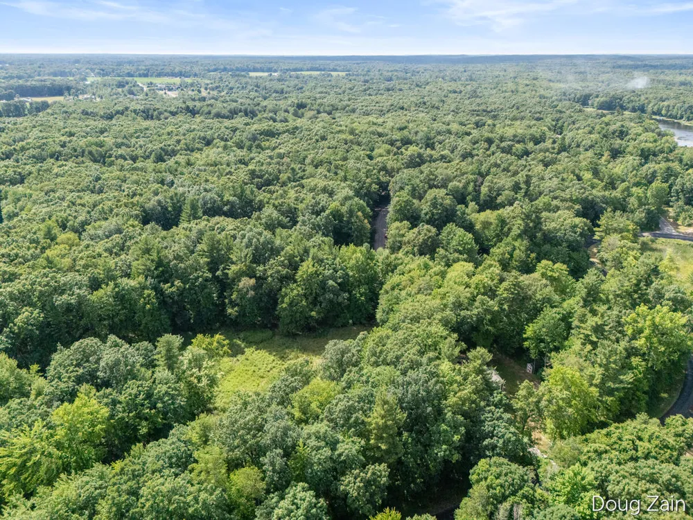 11890 Sandy Oak Court NE Cedar Springs, MI 49319