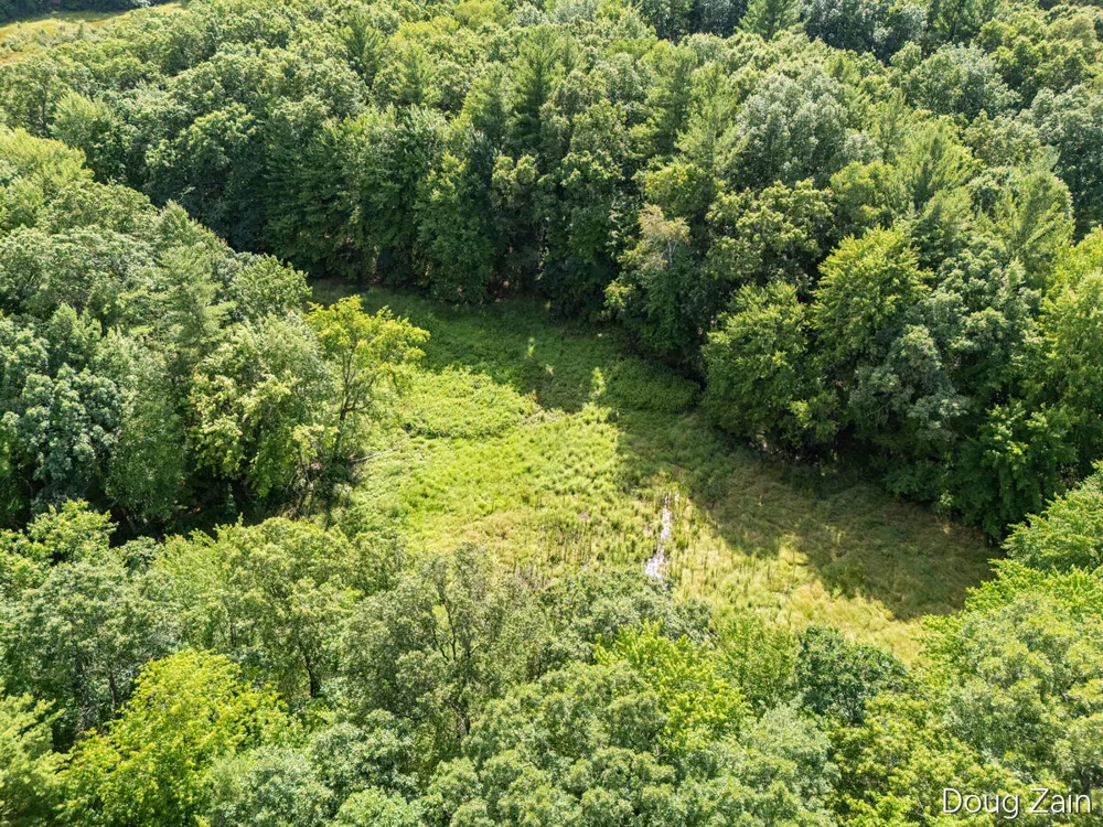 11890 Sandy Oak Court NE Cedar Springs, MI 49319