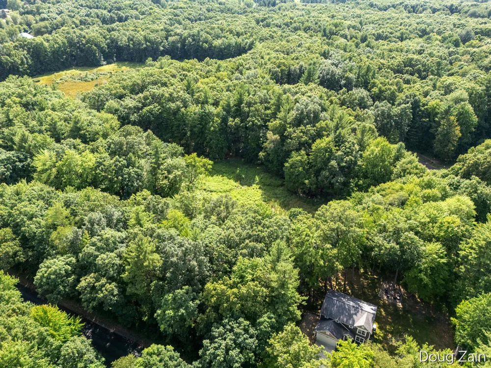 11890 Sandy Oak Court NE Cedar Springs, MI 49319