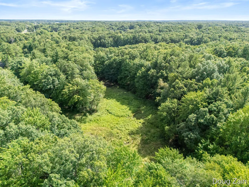 11890 Sandy Oak Court NE Cedar Springs, MI 49319