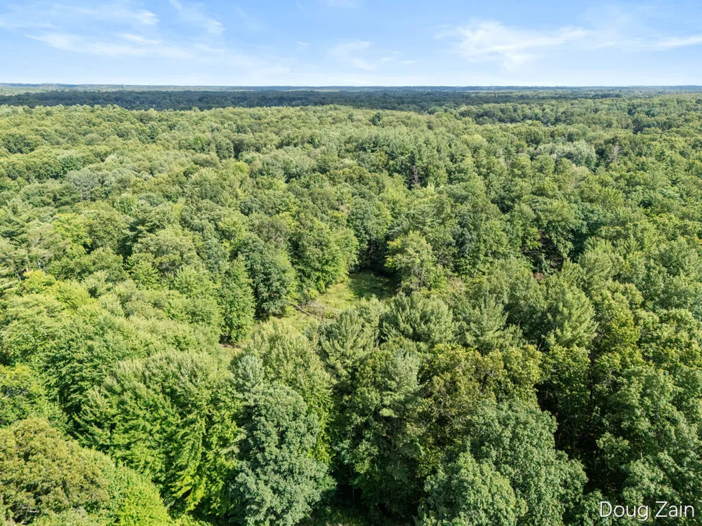 11890 Sandy Oak Court NE Cedar Springs, MI 49319