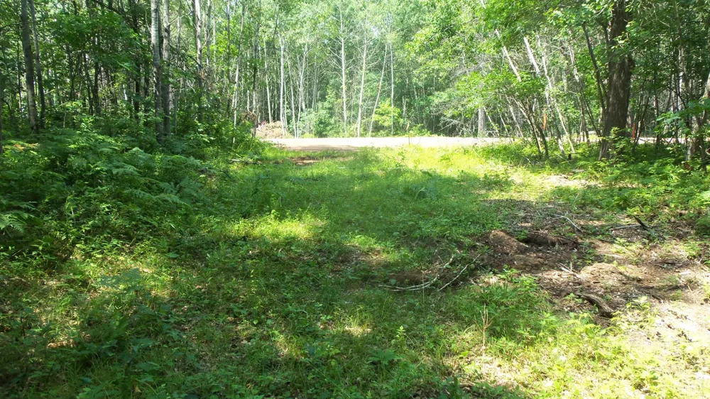 Lot 4 Birch Tree Trl Spooner, WI 54801