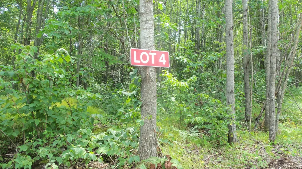 Lot 4 Birch Tree Trl Spooner, WI 54801