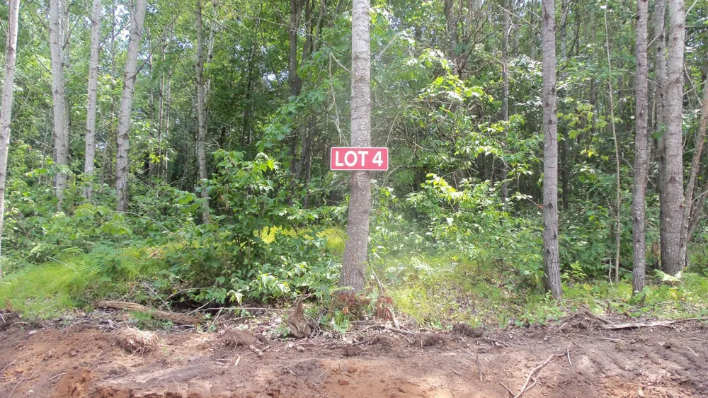 Lot 4 Birch Tree Trl Spooner, WI 54801