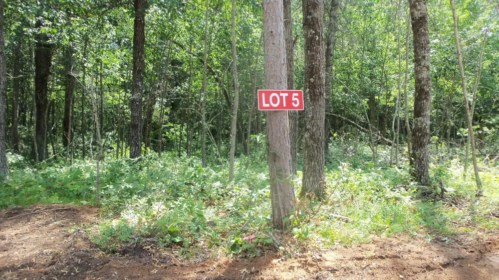 Lot 5 Brch Tree Trl Spooner, WI 54801