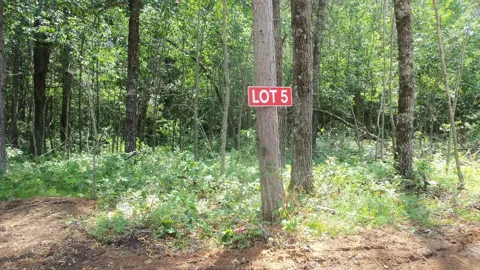 Lot 5 Brch Tree Trl