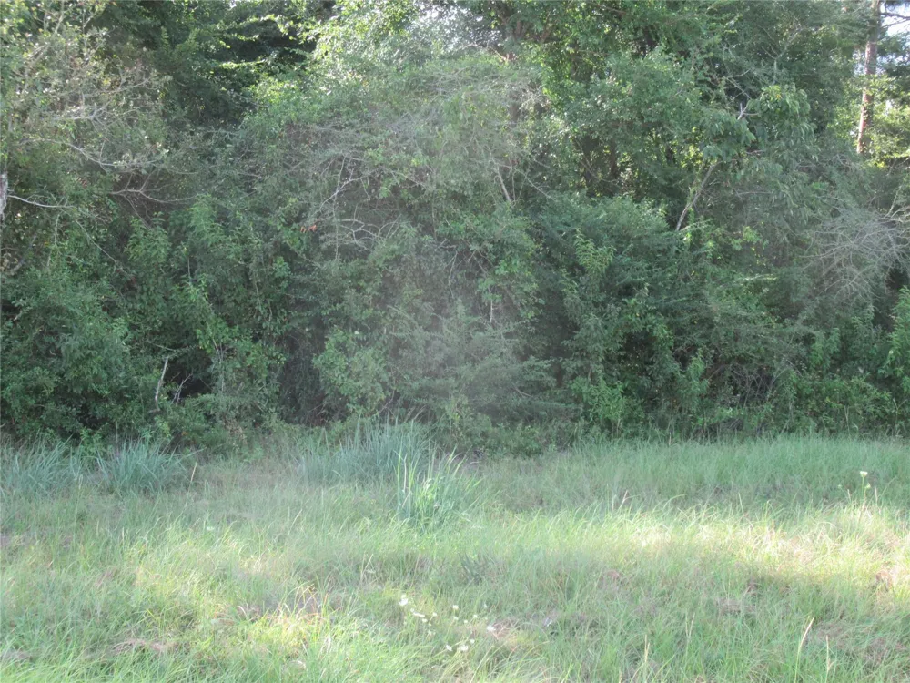 Hwy 190 E Point Blank, TX 77364