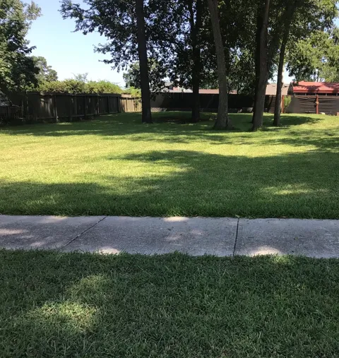 6723 Sandy Oaks Drive