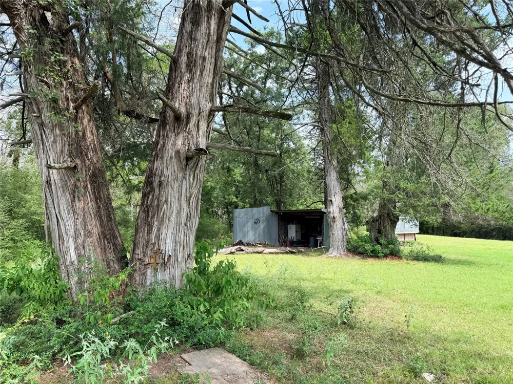 45 Cr 223 Buffalo, TX 75831