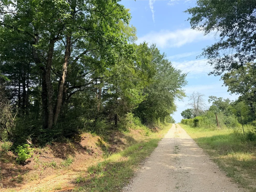 45 Cr 223 Buffalo, TX 75831