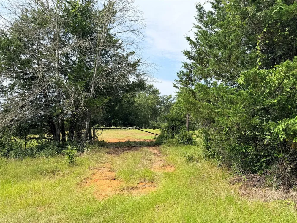 45 Cr 223 Buffalo, TX 75831