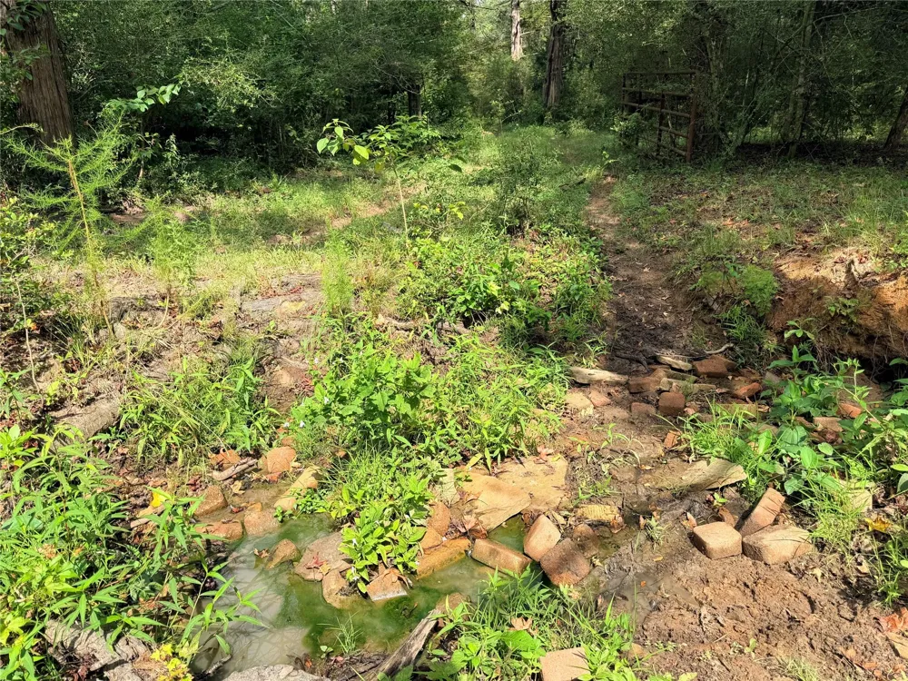 45 Cr 223 Buffalo, TX 75831