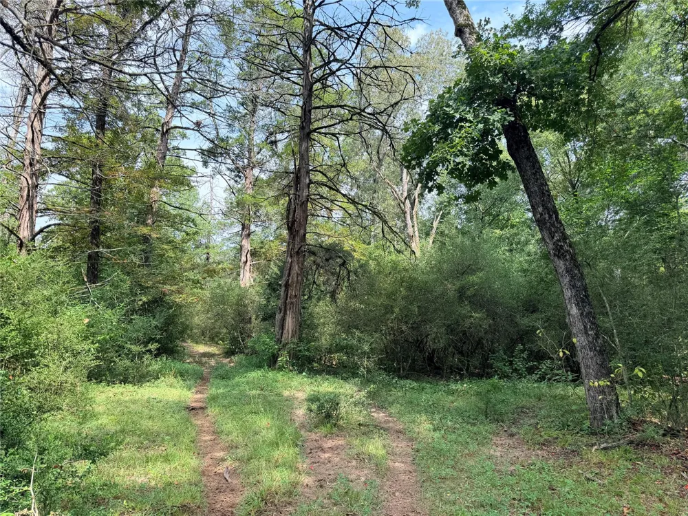 45 Cr 223 Buffalo, TX 75831