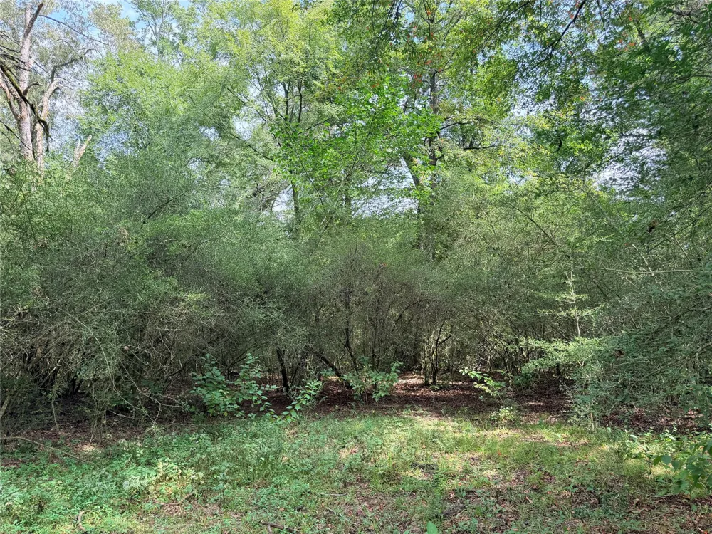 45 Cr 223 Buffalo, TX 75831
