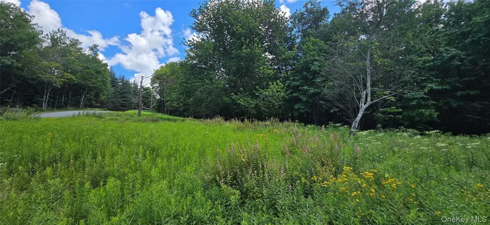 00 Red Hill Knolls Road Grahamsville, NY 12740