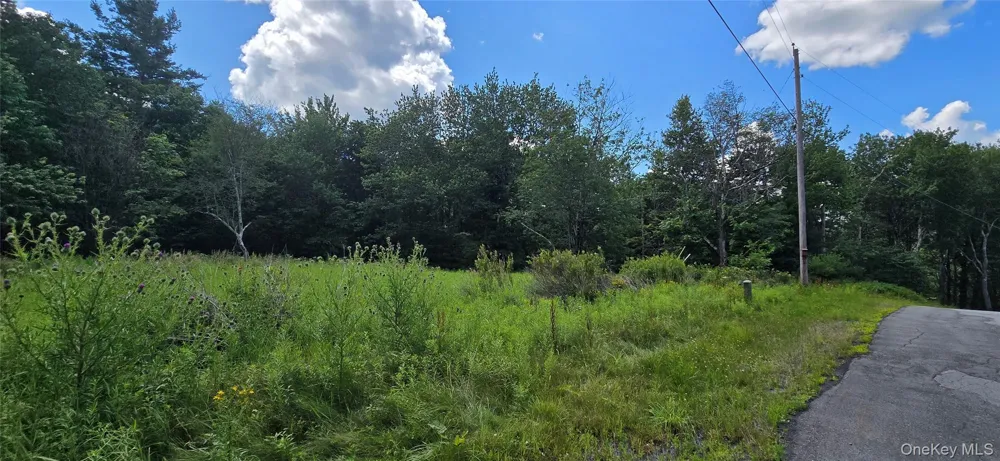 00 Red Hill Knolls Road Grahamsville, NY 12740