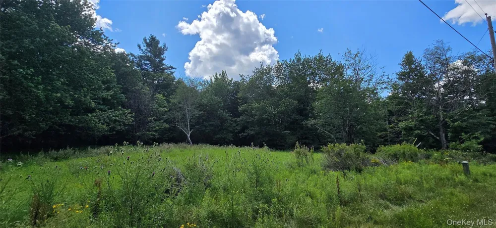 00 Red Hill Knolls Road Grahamsville, NY 12740