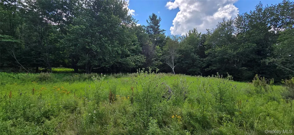 00 Red Hill Knolls Road Grahamsville, NY 12740