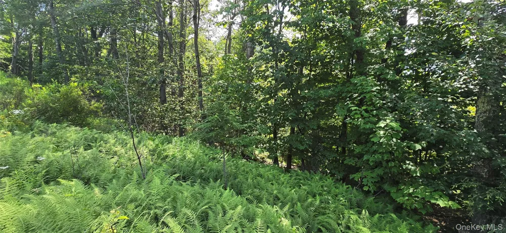 00 Red Hill Knolls Road Grahamsville, NY 12740