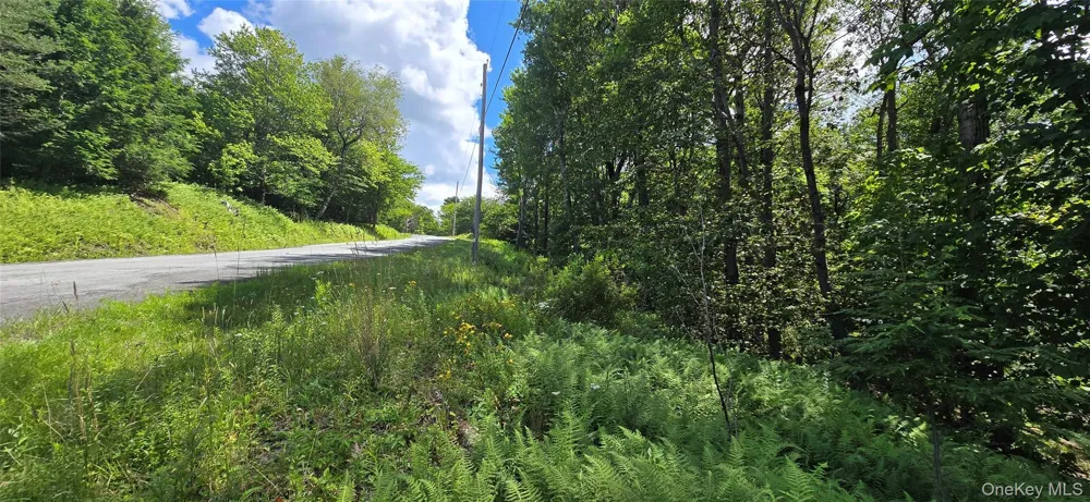 00 Red Hill Knolls Road Grahamsville, NY 12740